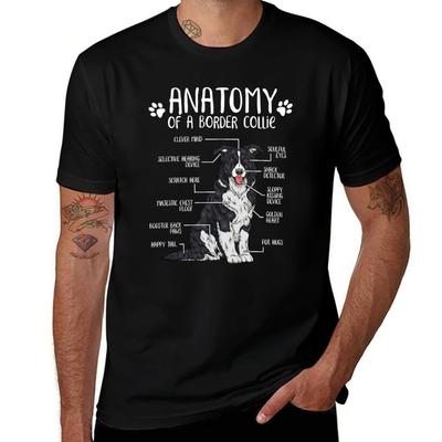 Koszulki i topy – T-shirty i koszulki