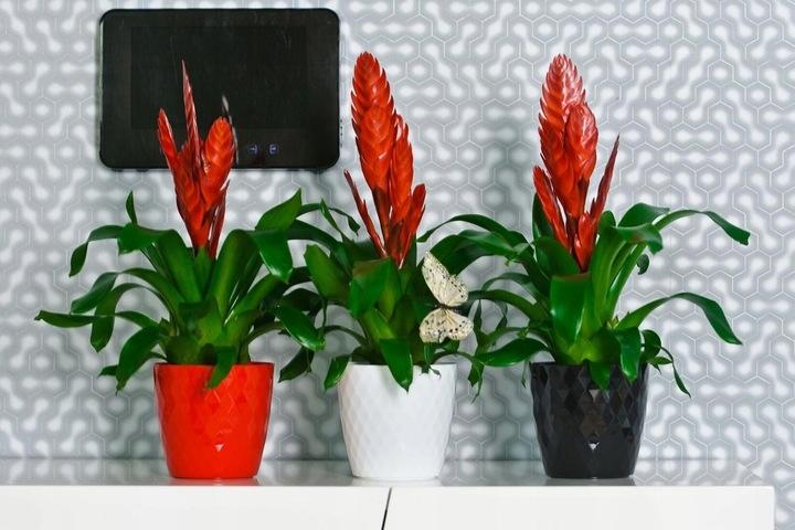 Gray plastic flower pot Cristal 14 x 12 cm