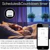 Graffiti Smart WiFi Curtain Switch with Remote Timer & Alexa Compatibility
