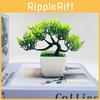 Simulated Potted Pinus Hwangshanensis Artificial Flower For Decor Indoor
