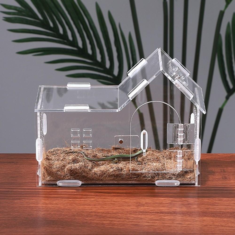 Transparent Pet Breeding Container Magnetic Reptile Habitat Box  For Gecko Turtle Lizards