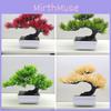 Changpai Scotch Simulated Pine Thuja Sutchuenensis Artificial Green Plant Bonsai