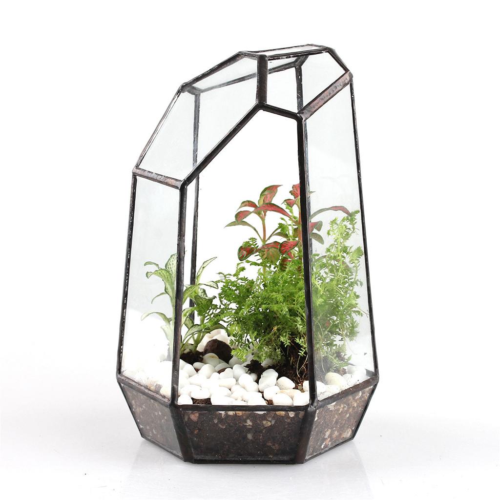 Clear Glass Geometric Terrarium Tabletop Planter Irregular Plant Box Succulent Holder for Indoor Garden