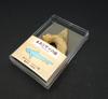 Oherikosha Fossil Shark Tooth in Styrofoam Case