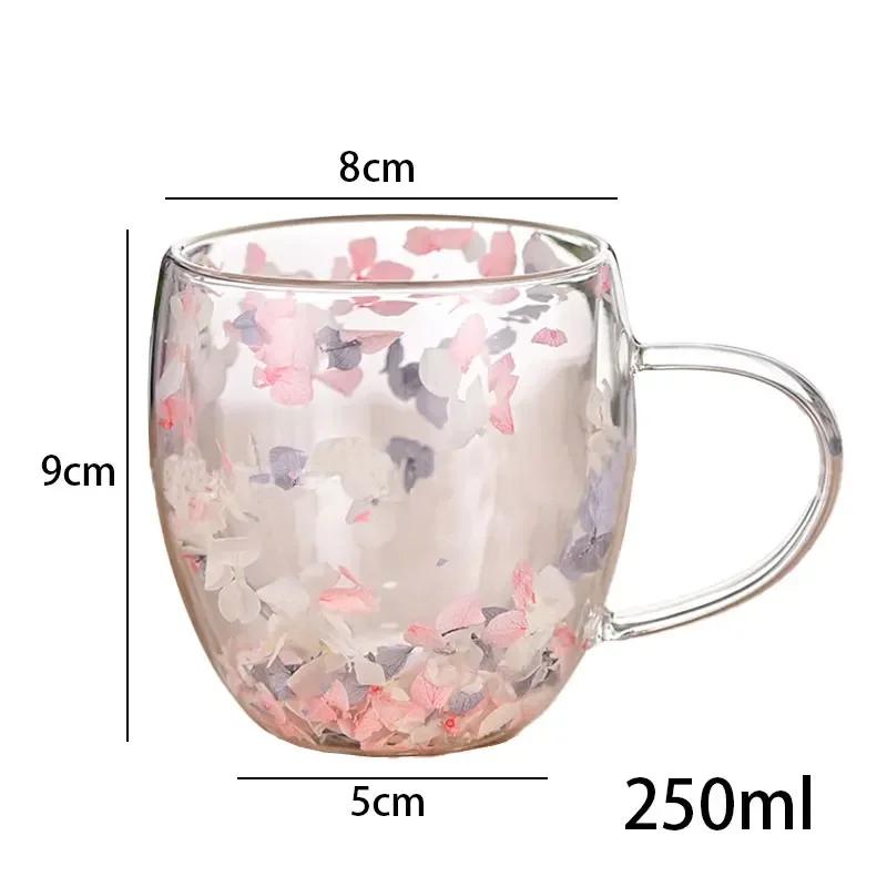 Creative Dobbelvegg Glasskopp Tørket Blomsterfyll Glasskopper Te Kaffekopper Gaver Høyt borosilikatglasskopper med håndtak