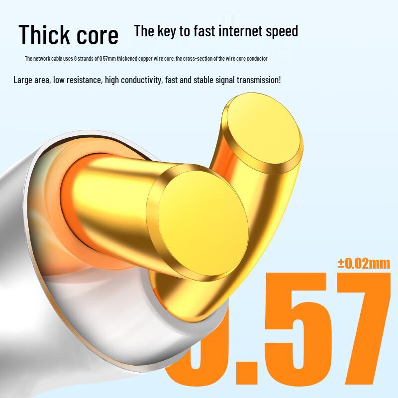 CHOSEAL Cat6A Double Shielded LSZH Ethernet Cable
