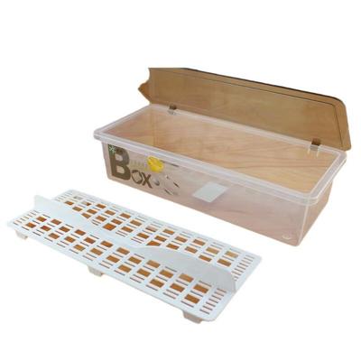 2-Pack Draining Cutlery and Chopsticks Storage Boxes