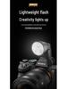 Fengbiao Mini Flash for Mirrorless & SLR Cameras – Portable On-Camera Portrait & Outdoor Fill Light with Hot Shoe Compatibility