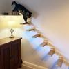 Cat Wall Hiding House Hammock Climbing Shelves Moon Perches Bed Ladder Solid Wood Steps For Activity Indoor Cats Wall Furniture