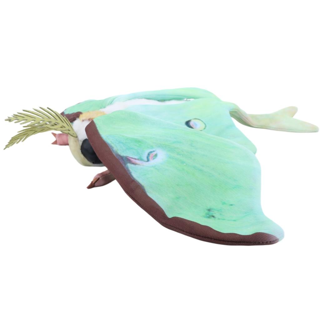 Plyšák Luna Moth Měsíční můra Měkké Realistické Zelená Luna Moth Plyšové zvířátko Plyšák Přírodní téma Pro děti Milovníky hmyzu Dárek k narozeninám
