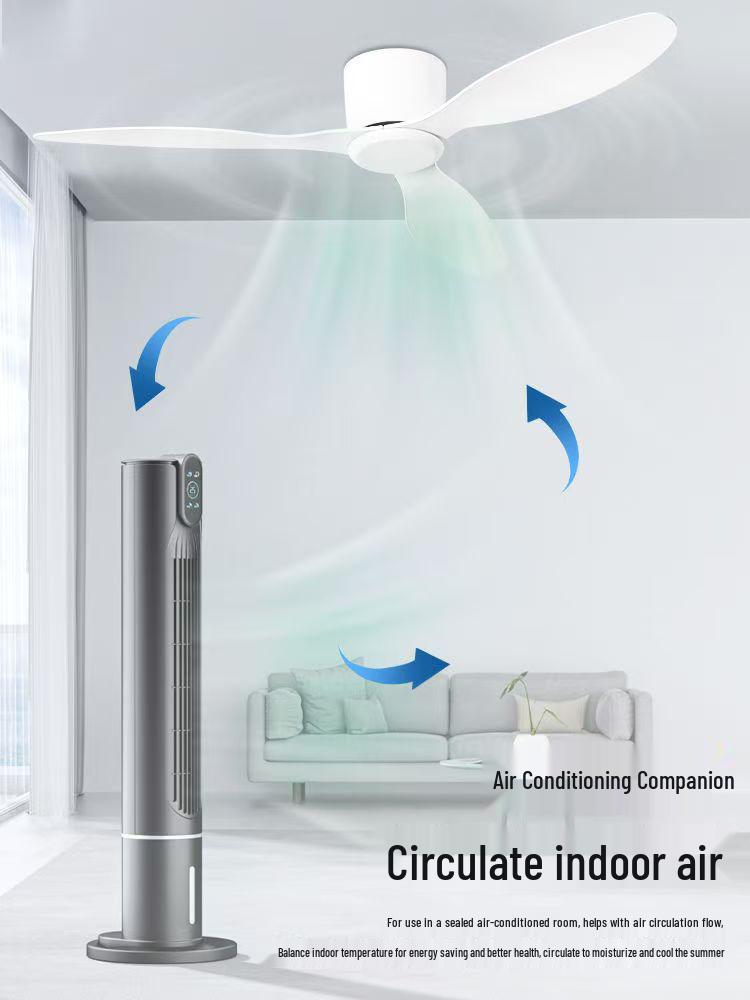 Minimalist Ceiling Fan Light for Living Room, Dining Room & Bedroom