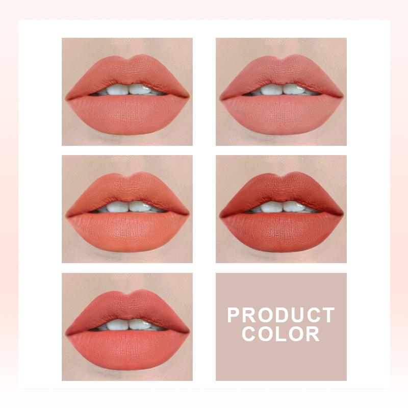Five Lipstick Set Matte Whitening Complexion Waterproof Lipstick Velvet Matte Long-Lasting Makeup Effect Lip Gloss Non-Stick Cup Non-Fading Lipstick