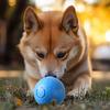 Rolling Ball Dog Toy Smart Self Moving Bouncing Ball with Automatic Motion Chew Resistant Stimulating Toy for Small Medium Large Dogs