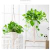 White Hanging Plant Pot Eggshell Shape Planter Self Watering Plant Pot  Indoor Outdoor Ornament