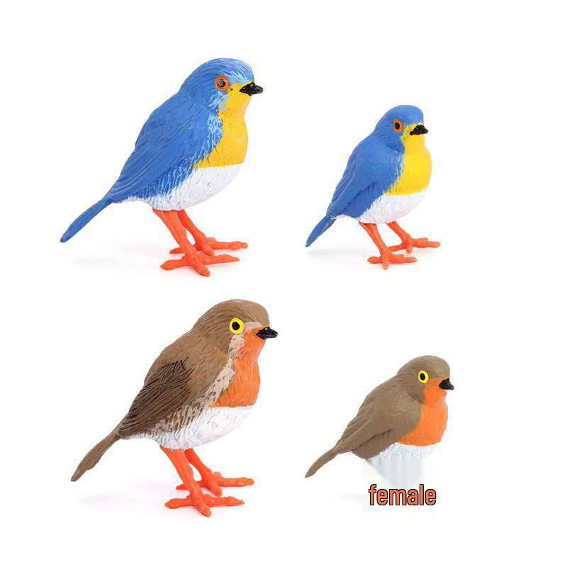 Eurasian Red-breasted Robin Small Bird Model - Children's Toy Ornament
