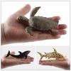 Ocean Animal Toys, Scene Ornaments, Static Models, Megalodon, Killer Whale, Penguin, Dolphin Doll Collection
