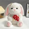 Cute Bunny Plush Toy Girly-Hearted Plush Doll Carrot Rabbit Pillow Scarf Rabbit Sleep Comfort Toy Children's Birthday Gift for G
