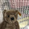 [USED] Steiff Teddy Bear 030147 Used Teddy Bear