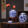 Hand-Painted Blue and White Porcelain Jar Vase - Chinese Ceramic Ornament for Living Room