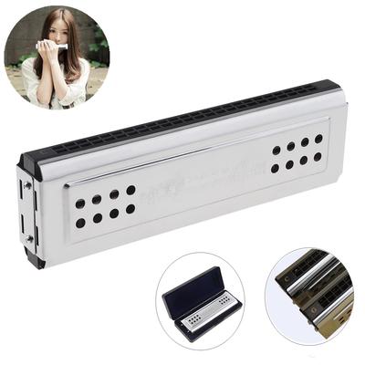 Chiave professionale a 24 fori di armonica tremolo a doppio lato argento C&G per principianti