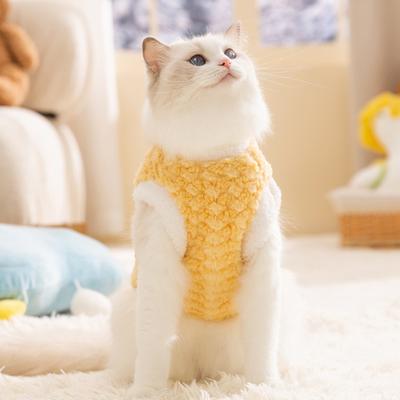 Katter – Kattkläder