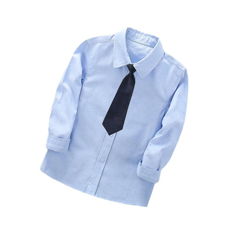 Boys' White Cotton Long Sleeve Shirt - Solid Color for Ages 2-14, Ideal for Primary School and Performances.