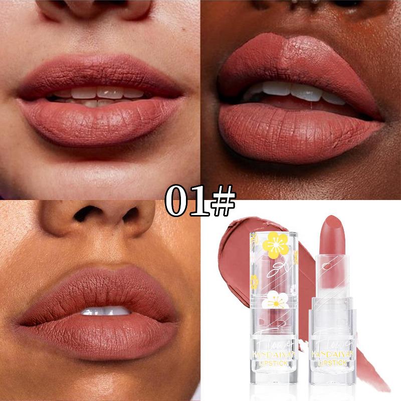 Цветочная дымка Прозрачный тюбик Матовая нюдовая помада 12 цветов Водостойкая Сексуальные конфетные цвета Водостойкая Невыцветающая антипригарная помада Стойкая помада