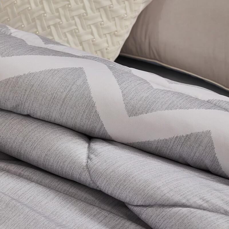 Mercury Home Textiles Elegant Negative Ion Antibacterial All-Season Quilt
