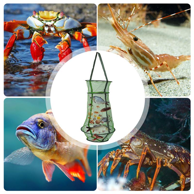 Trap Fish Basket Drawstring Opening Design Collapsible Fishing Net Collapsible Fishing Net Cage Fish Baskets