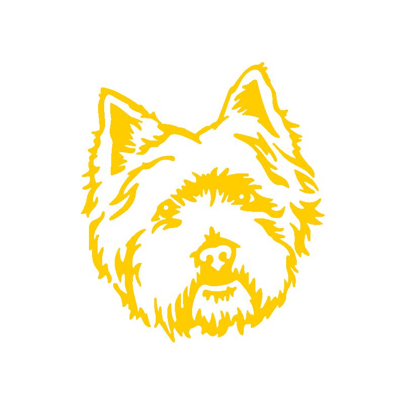 Chien West Highland White Terrier Mélisse De Paline