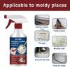 Anti-mould Cleaning Foam Spray Ceiling Bathroom Ceramic Wall Surface Multi Effect Cleaning Decontamination Mildew Remover