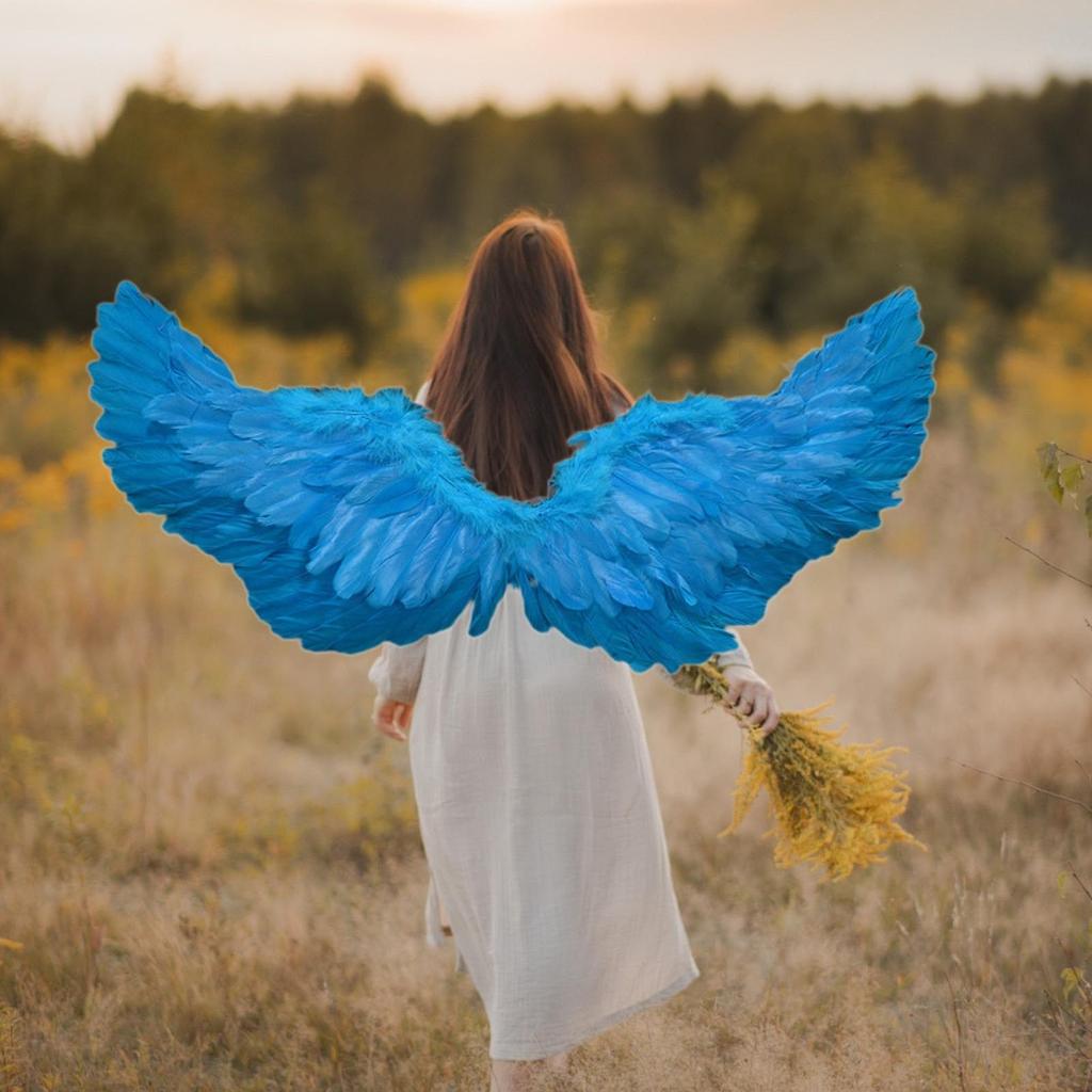 Feather Angel Wing Lovely Cute Fancy Dress up for Festival Carnivals