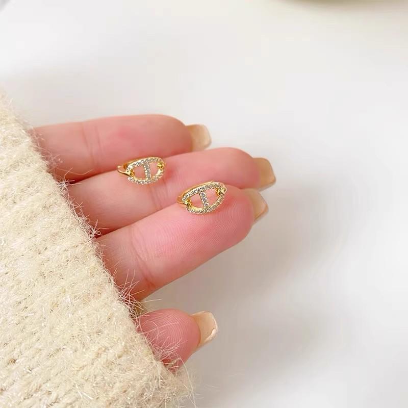 925 Sterling Silver Hoop Earrings: 2025 Modern Niche Design - Elegant & Luxurious for Women