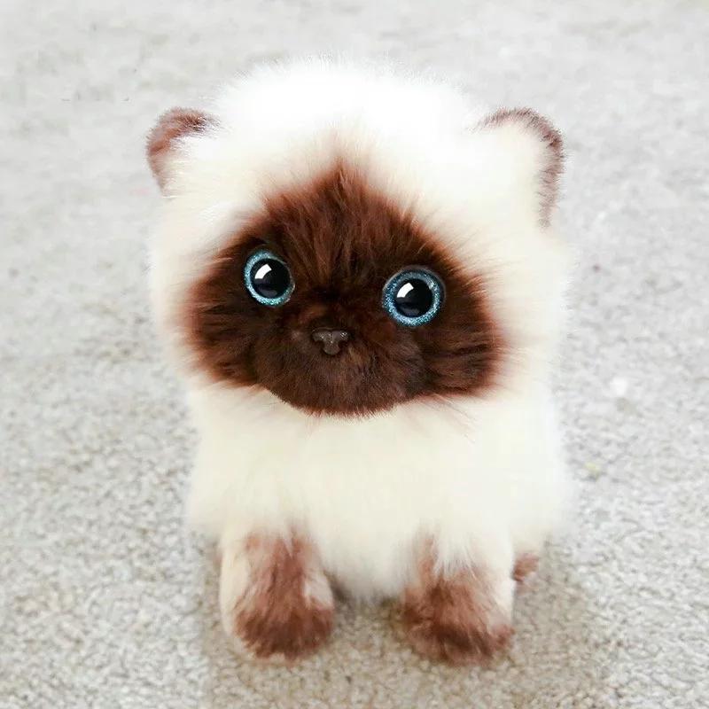 20/26CM Lifelike Cute Siamese Cat Plush Toy Blue Sequins Eyes Kitty Doll Brown And White Face Cat Cartoon Home Decor Kids Gift