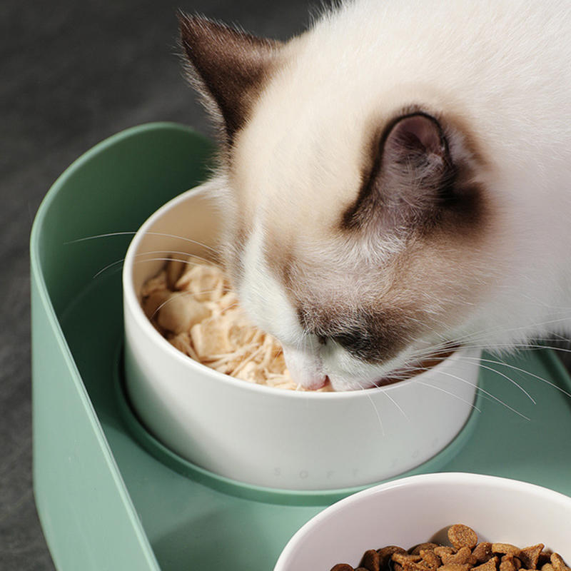 Double Feeding Bowl Collar Protect NONSLIP Ceramic Cat Feeding Bowl for Dog | DOGS EATING