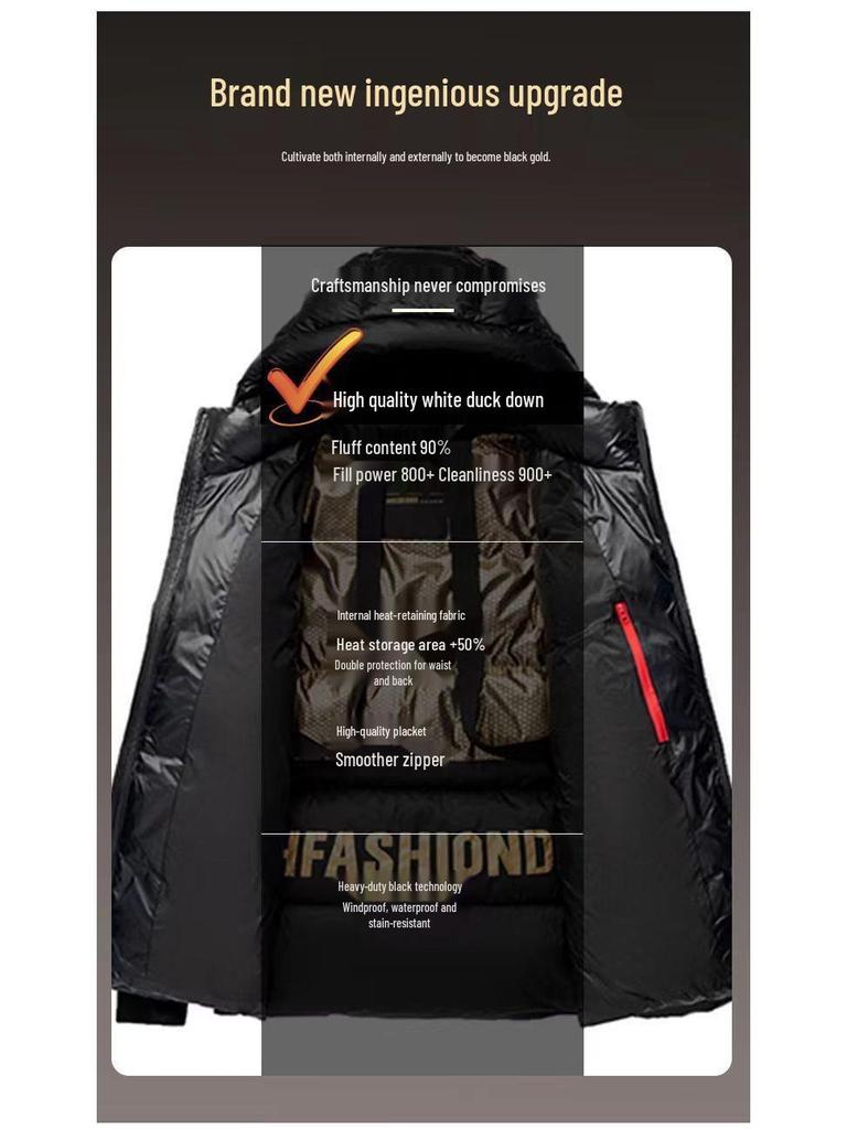 Unisex Kurze Glänzende Schwarze & Goldene Daunenjacke: Dick, Waschbar, Kältefest, Trendig, Hochwertig