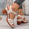 Chunky Heel Platform Roman Sandals for Women Lightweight Buckle Strap Casual Sandals Woman Summer Comfort Block Heeled Sandalias