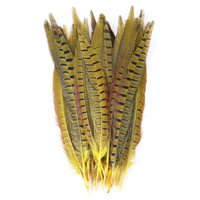 10pcs Multicolor Chicken Feathers Natural Pheasant Tail Feathers 25-30 Cm for Party Clothing Jewelry Making Plume Decoration