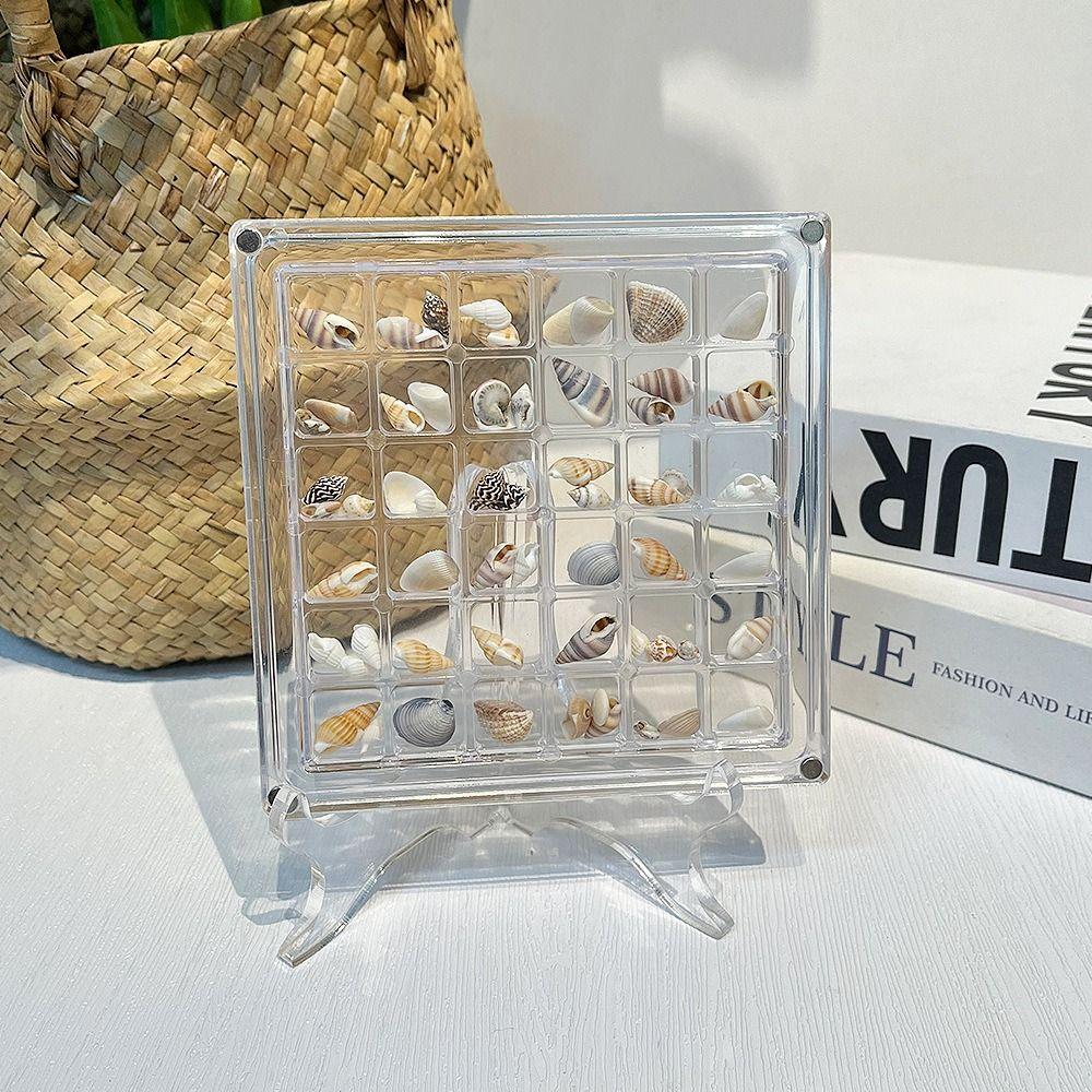 Acrylic Magnetic Seashell Display Box Stackable Beads Collection Box Seashell Storage Box Gifts