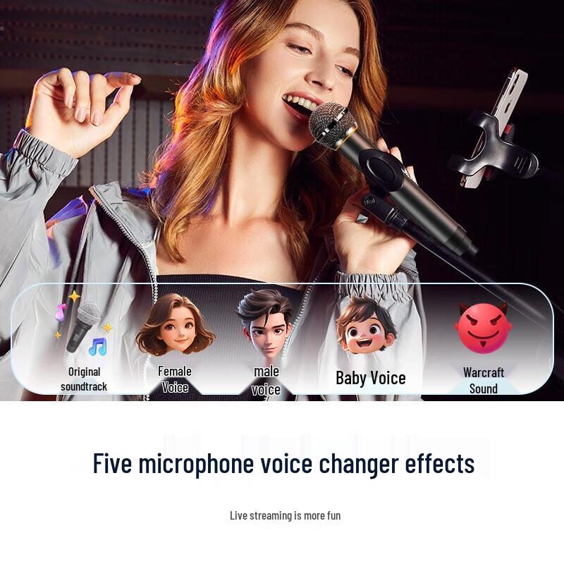 SAST SA-807 12-inch Outdoor Portable Bluetooth Speaker