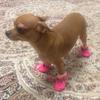 Waterproof Shoes Socks Pet Non-slip Soft Rain Boots Footwear Cover