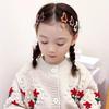 Frosted Pentagram Milk Coffee Hairpins for Energetic Girls - Princess Style BB Bangs Clips