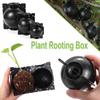 Propagation Ball Botany Root Controller Breeding Case Growing Box High Pressure Incubator Plastic Grafted Tree Rooting Ball