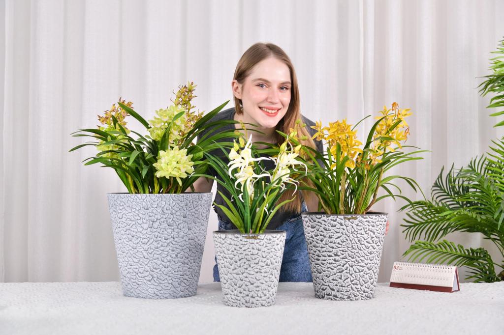 GreenShip Blumen Zimmerpflanzentopf Kein Umtopfen Harz Plastik Relief Keine Drainage Geeignet für Knollenpflanzen Topf, Topf, Übertopf, Nein. 8, Erforderlich, Holzkohle,