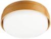 LED Ceiling Light Small 100 Shape Daylight White Direct Mount Type LGB51552LE1