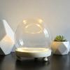 Decorative Clear Glass Dome Display Case for Immortal Flowers Glass Cover Adornment with Wooden Base Home Coffee Shop Gift
