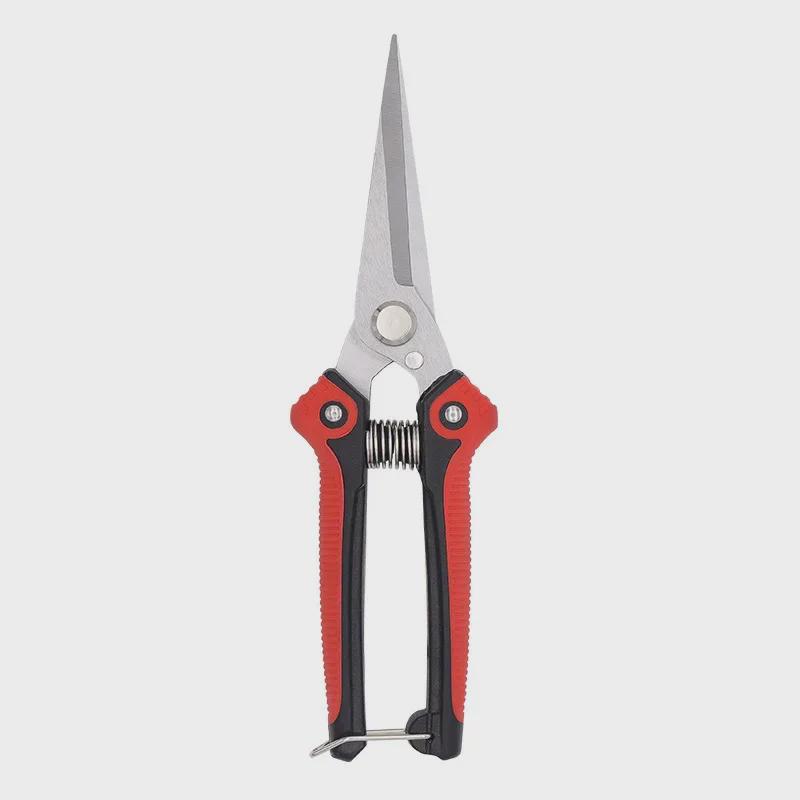 Stainless Steel Pointed Pruning Scissors for Fruit, Branches, and Vegetables