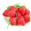 20Pcs Artificial Red Strawberries Plastic Fake Fruit