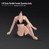 1/6 scale upgraded version of the movable female body, scale steel frame, super flexible makeup, seamless body, large bust, 12-inch female action doll