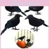 Läskig Svart Korp Halloween Jaktdekor